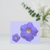 Blue Petunias Postcard Postkarte (Stehend Vorderseite)