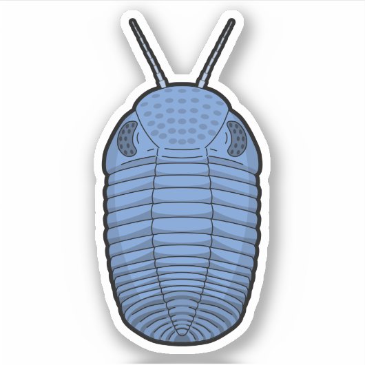 Blue Phacops Trilobit - prähistorisches TierVinyl Aufkleber (Vorderseite)