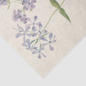 Blue Phlox von Mary Vaux Walcott Seidenpapier (Ausschnitt)
