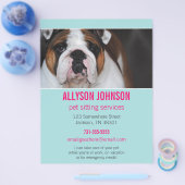Blue & Pink Foto Pet Sitting Services Flyer 1 (Einzeln)