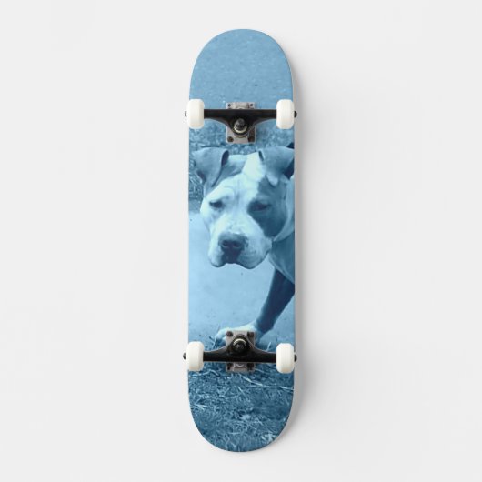 Blue Pit Bull Skateboard (Vorderseite)