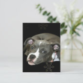 Blue Pitbull Puppy Postkarte (Stehend Vorderseite)