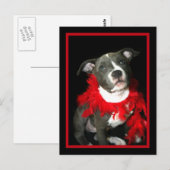 Blue Pitbull Puppy Postkarte (Vorne/Hinten)