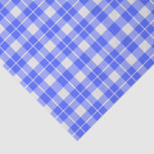 Blue Plaid Seidenpapier (Detail)