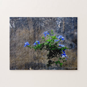 Blue Plumbago Blume Puzzle