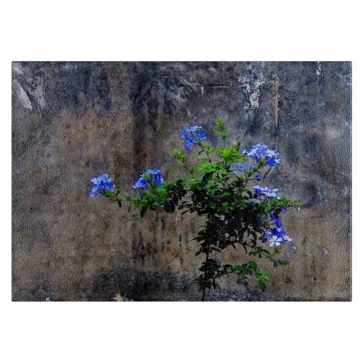 Blue Plumbago Blume Schneidebrett (Vorderseite)
