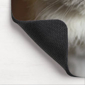 Blue Point Himalayan Cat wirkt irritiert Mousepad (Ecke)