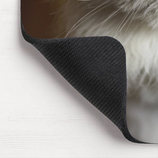 Blue Point Himalayan Cat wirkt irritiert Mousepad (Ecke)