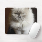 Blue Point Himalayan Cat wirkt irritiert Mousepad (Mit Mouse)