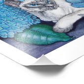 Blue Point Siamese Foto Print (Ecke)