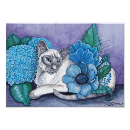 Blue Point Siamese Fotodruck