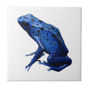 Blue Poison Dart Frog Fliese