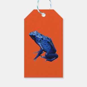 Blue Poison Dart Frog Geschenkanhänger