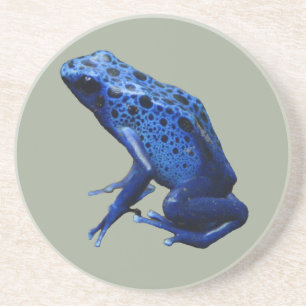 Blue Poison Dart Frog Getränkeuntersetzer