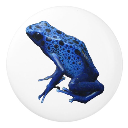 Blue Poison Dart Frog Keramikknauf (Vorderseite)