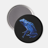 Blue Poison Dart Frog Magnet (Vorderseite/Rückseite)