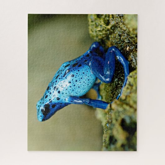 Blue Poison Dart Frog Nah-up, Jigsaw Puzzle (Vertikal)
