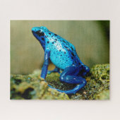 Blue Poison Dart Frog Nah-up, Jigsaw Puzzle (Horizontal)