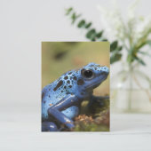 Blue Poison Dart Frog Postkarte (Stehend Vorderseite)