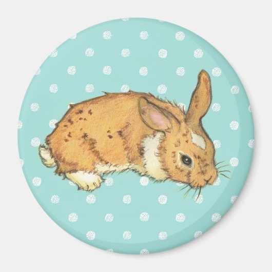 Blue Polka Dot Bunny Magnet (Vorne)