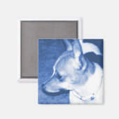 Blue Pop Art Chihuahua Magnet (Vorderseite/Rückseite)