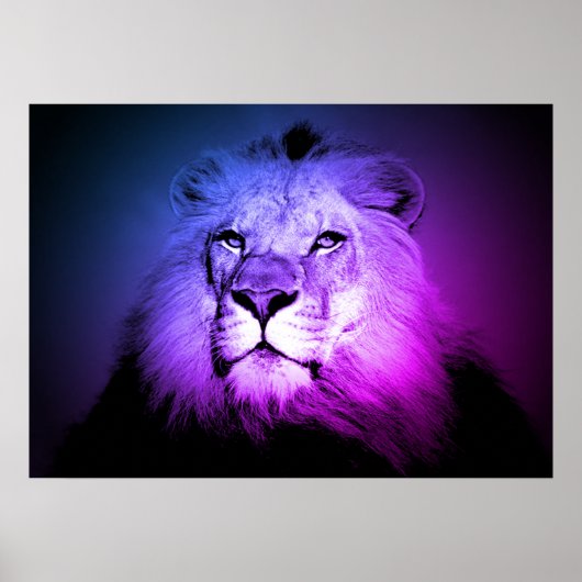 Blue Pop Art Lion - Wilde Tierfotografie Poster (Vorne)