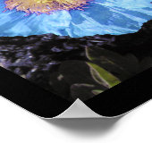 Blue Poppies Poster Prints (Ecke)