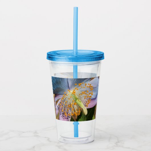 Blue Poppy Bloom Floral Acryltrinkbecher (Vorderseite)