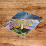 Blue Poppy Bloom Floral Fliese<br><div class="desc">Keramik Kachel, die das Foto einer Blüte der Himalaya Blauen Mohn Blume zeigt. Macht eine hübsche Küche trivet!</div>