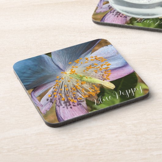Blue Poppy Bloom Floral Getränkeuntersetzer (Linke Seite)