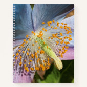 Blue Poppy Bloom Floral Notizblock (Vorderseite)