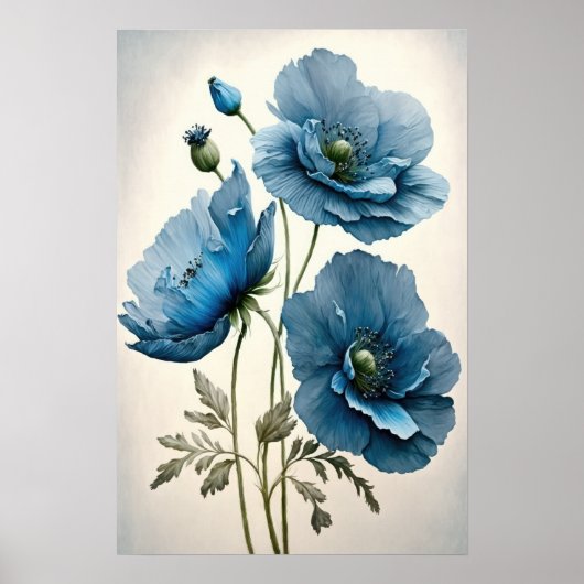 Blue Poppy Blume Art Print Poster (Vorne)