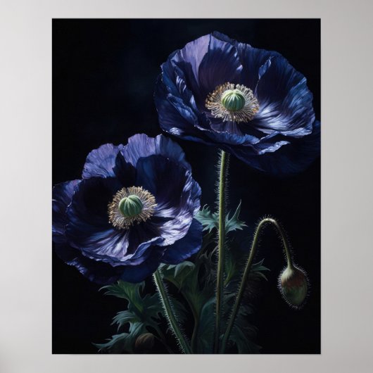 Blue Poppy Blume Art Print Poster (Vorne)