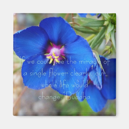 Blue Poppy Blume mit inspirierend Zitat aus Buddha Magnet (Vorne)