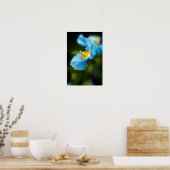 Blue Poppy Blume Poster (Küche)
