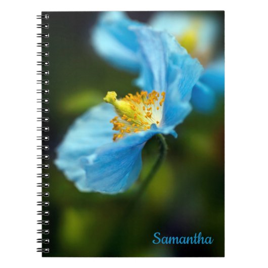 Blue Poppy Blume Spiral Notebook Notizblock (Vorderseite)