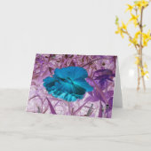 "Blue Poppy" Digital bearbeitetes Foto: Blume, Gra Karte (Gelbe Blume)