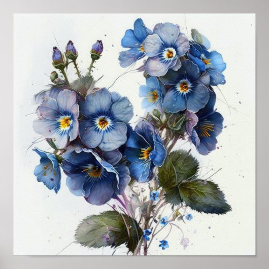 Blue Primrose Blume Art Print Poster (Vorne)