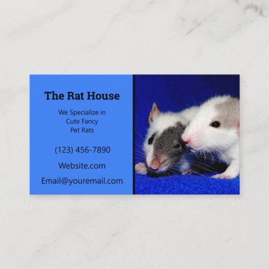 Blue Rat Breeder Rattery Visitenkarte (Vorderseite)
