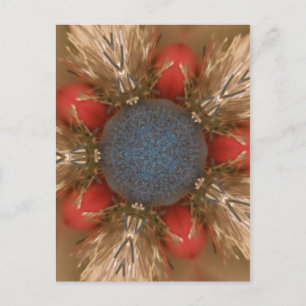 Blue Red Christmas Decoration Baubles Feiertagspostkarte