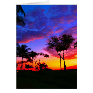 Blue Red Sunset Exotic Hawaiian Beach Palm Bäume