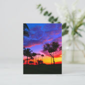 Blue Red Sunset Exotic Hawaiian Beach Palm Bäume Postkarte (Stehend Vorderseite)