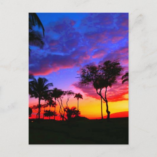 Blue Red Sunset Exotic Hawaiian Beach Palm Bäume Postkarte (Vorderseite)