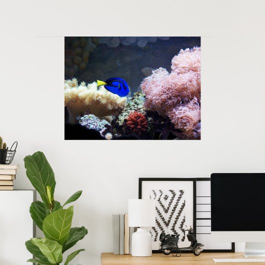 Blue Regal Tang Poster (Heimbüro)