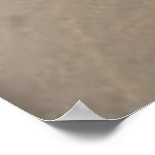 Blue Ribbon Dancer Edgar Degas Poster (Ecke)