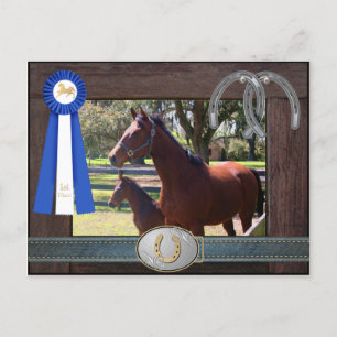 Blue Ribbon Mare and Foal Postcard Postkarte