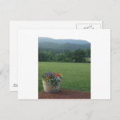 Blue Ridge Blume Postkarte (Vorne/Hinten)