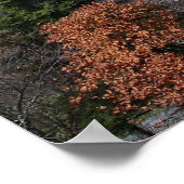 Blue Ridge, Fotografie von Ellenetta Marshall2006 Poster (Ecke)