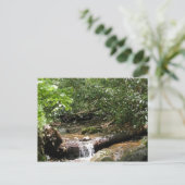 Blue Ridge Mountain Creek Postkarte (Stehend Vorderseite)