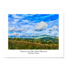 Blue Ridge Mountains Georgia Weingarten